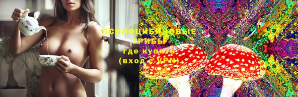 твердый Баксан
