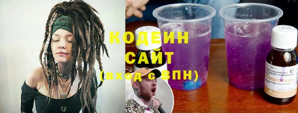 индика Белокуриха