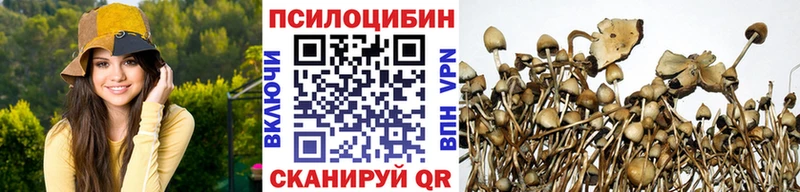 darknet формула  наркотики  Куртамыш  Псилоцибиновые грибы прущие грибы 